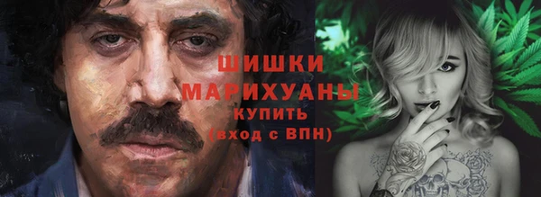 шишки Белокуриха