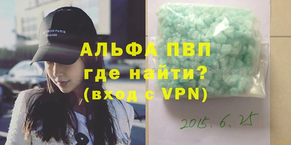 шишки Белокуриха