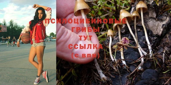 марки lsd Беломорск