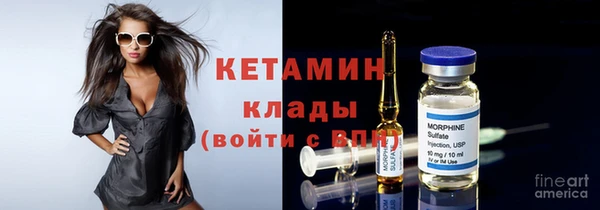 шишки Белокуриха