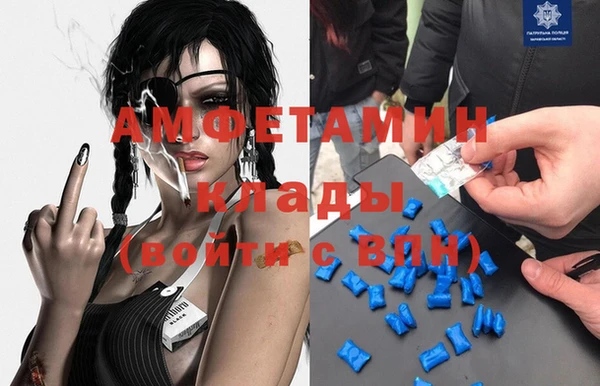 шишки Белокуриха