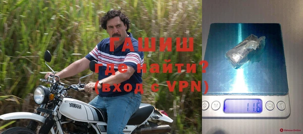 шишки Белокуриха