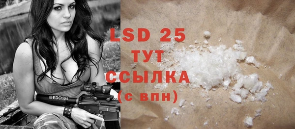 шишки Белокуриха