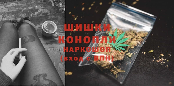 шишки Белокуриха