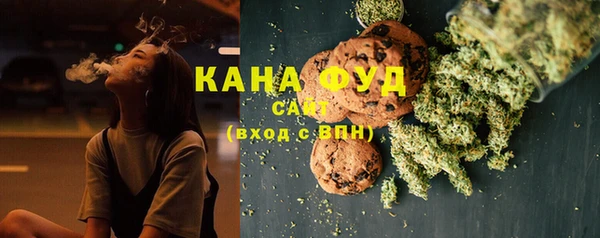 шишки Белокуриха