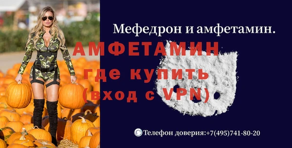 шишки Белокуриха