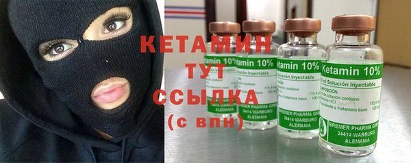 шишки Белокуриха