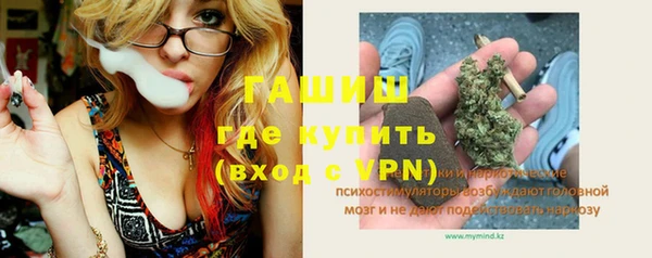 шишки Белокуриха