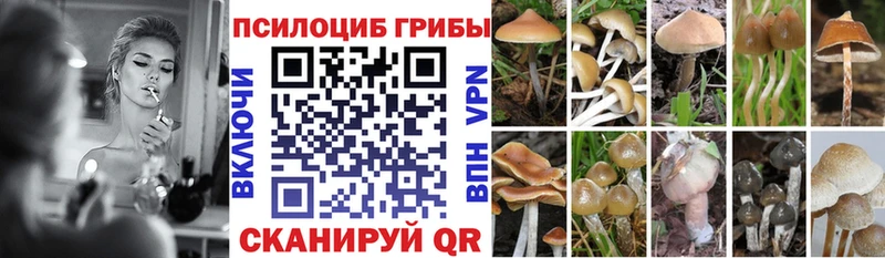 Галлюциногенные грибы Psilocybine cubensis  купить наркотики сайты  кракен   Звенигово 