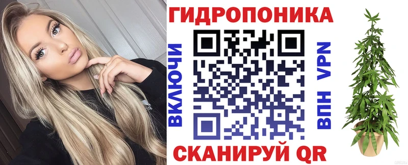 Бошки марихуана марихуана  Звенигово 
